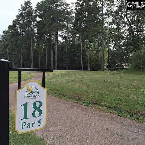 111 Water links Drive, Chapin, SC 29036
