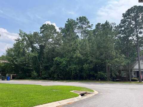 200 Deer Crossing, Elgin, SC 29045