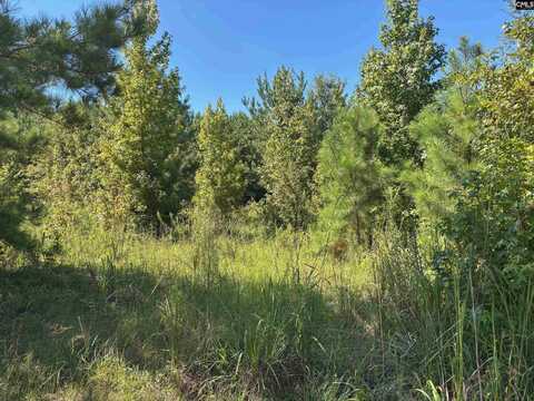 1008 Langford Road, Blythewood, SC 29016