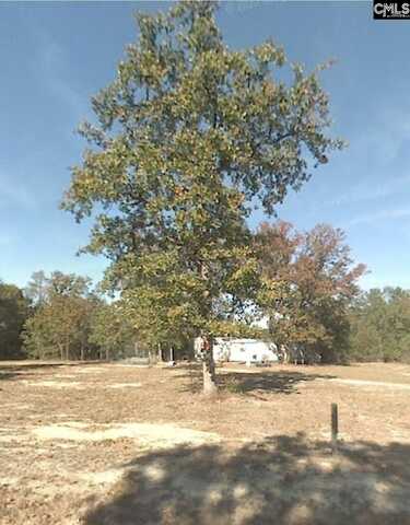819 Lee Gunter Road, Leesville, SC 29070