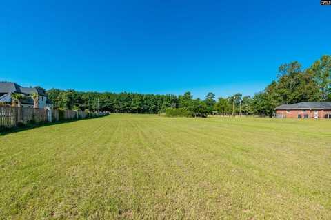 Wise Ferry Road, Lexington, SC 29072