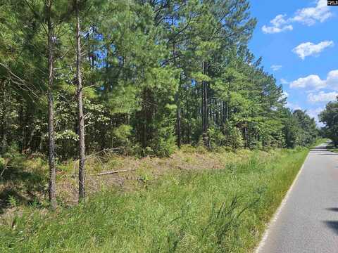 0 Sharpes Hill Road, Gaston, SC 29053