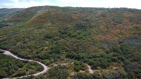Lot 37 Stoney Creek Ranch Road, Hotchkiss, CO 81419
