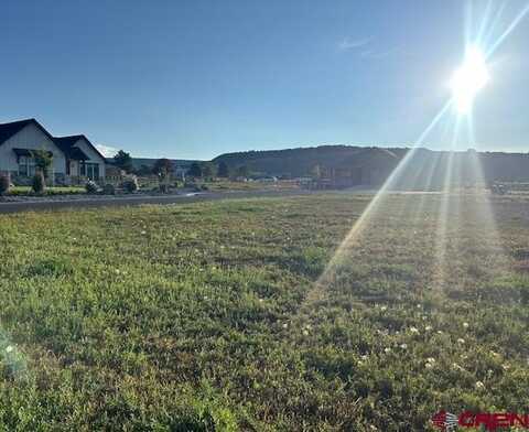 320 SE Limestone Court, Cedaredge, CO 81413