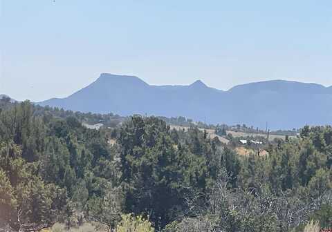 Lot 3 Road 25, Dolores, CO 81323