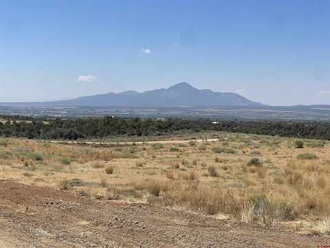 Lot 5 Road 25, Dolores, CO 81323