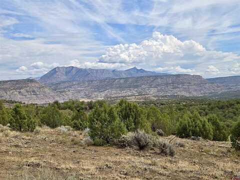 TBD Horse Canyon Road, De Beque, CO 81630