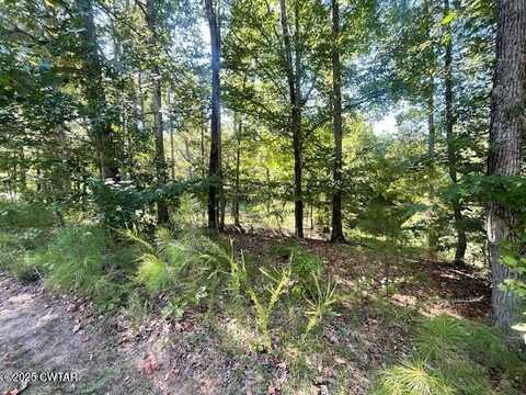 0 Hickory Lane, Lexington, TN 38351