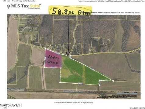 92 Barnes Road, Medina, TN 38355