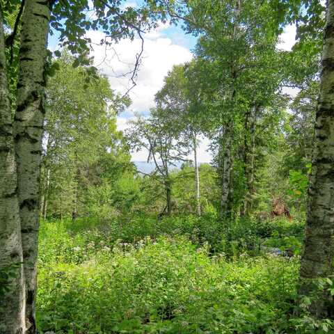 xxx Hoaglund Dr, Tofte, MN 55615