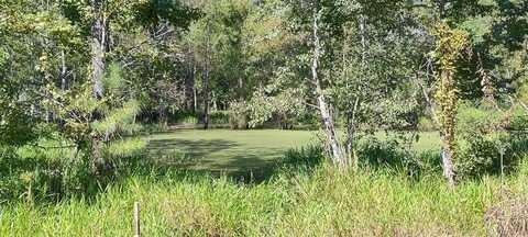 644 Case, Slocomb, AL 36375