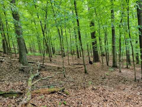 TBD Bethel Road, Ft. Gaines, GA 39851