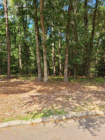 0 Alcuri Dr Lot 15, Ozark, AL 36360