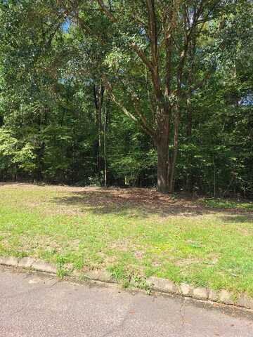 0 Alcuri Dr Lot 14, Ozark, AL 36360