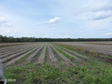 000 COUNTY ROAD 108, Bunnell, FL 32110