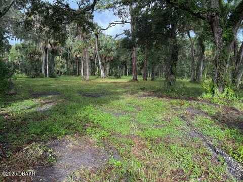 0 Tionia Road, New Smyrna Beach, FL 32168