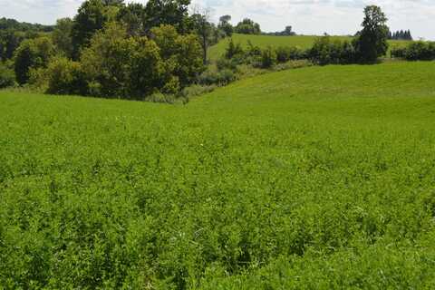 16421 40th, Baldwin, IA 52207