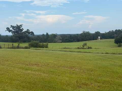 0 Co Rd 79S, Eufaula, AL 36027