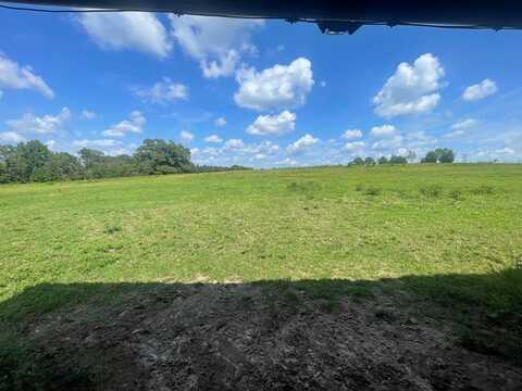 2066 Highway 131, Bakerhill, AL 36027