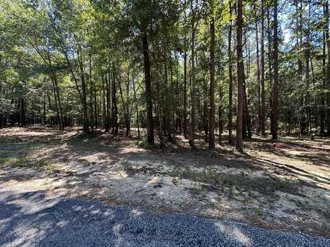 252 Pebble Cove Road, Abbeville, AL 36310