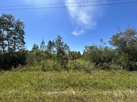 Xxx Rollohome Road, Fountain, FL 32438