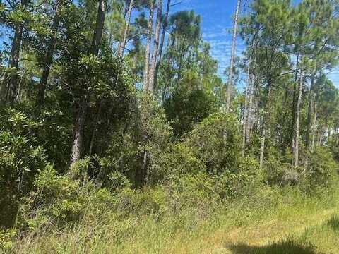 Xxx Foxmire Farm Road, Santa Rosa Beach, FL 32459
