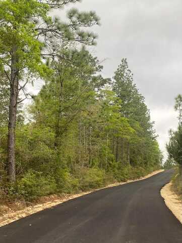 23 Acres Sherman Kennedy Road, Baker, FL 32531
