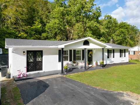 52 Station Branch, Prestonsburg, KY 41653