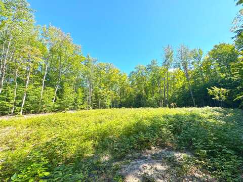 5146 S M-123, Eckerman, MI 49728