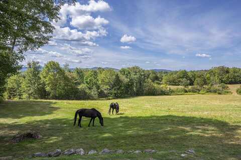 1204 Bailey Road, Shrewsbury, VT 05738