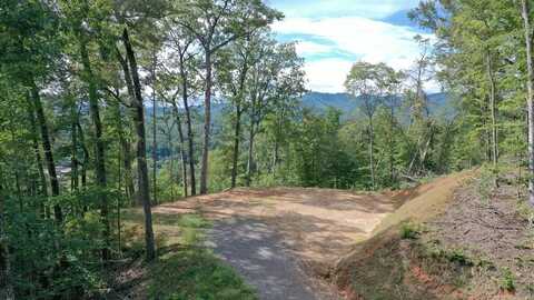 81 Bacon drive, Bryson City, NC 28713
