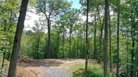 79 Bacon Drive, Bryson City, NC 28713