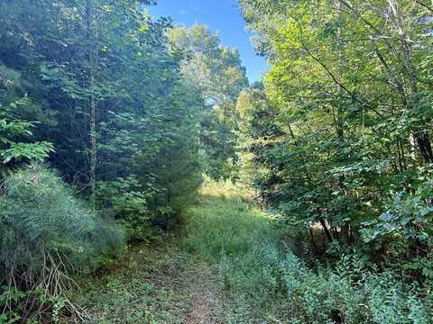 4 MOM'S FALLS RD, Topton, NC 28781