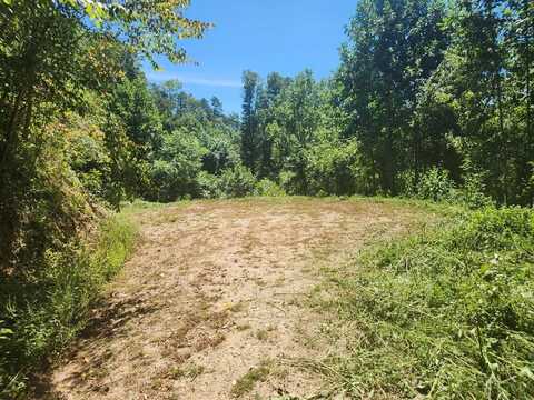 Lot 14 Cherokee Bluff, Whittier, NC 28786
