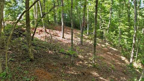 Pine Ridge Dr, Franklin, NC 28734