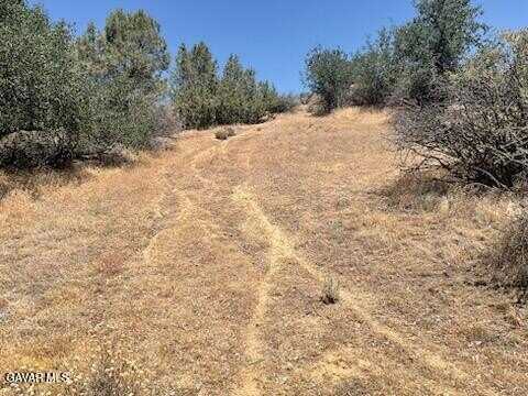 Rancharia Creek Road, Caliente, CA 93518