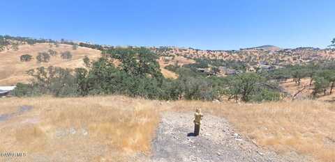9784 Torito Way, La Grange, CA 95329