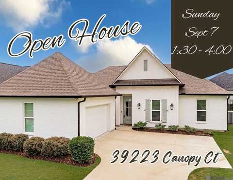 39223 Canopy Ct, Gonzales, LA 70737