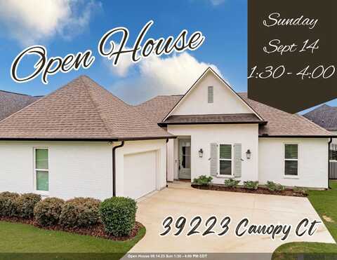 39223 Canopy Ct, Gonzales, LA 70737