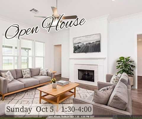 39223 Canopy Ct, Gonzales, LA 70737