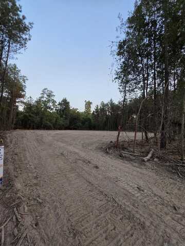17267 Jack Allen Rd, Livingston, LA 70754