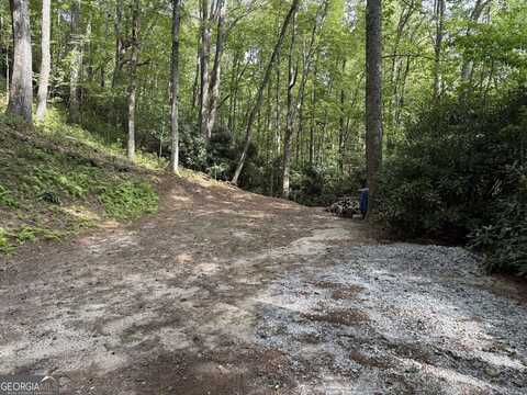 (0) Honey Bear, Dillard, GA 30537