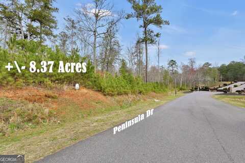 1 PENINSULA, Monticello, GA 31064