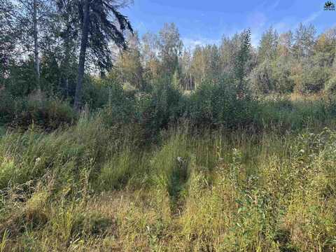 810 DUCKWOOD COURT, Fairbanks, AK 99712