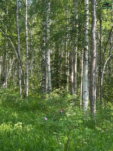 NHN ELLIOTT HIGHWAY, Fairbanks, AK 99712