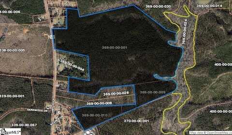 0 S Highway 221, Waterloo, SC 29384
