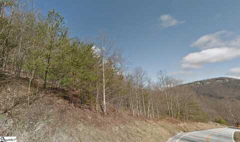 45 Foggy Cut Lane, Landrum, SC 29356