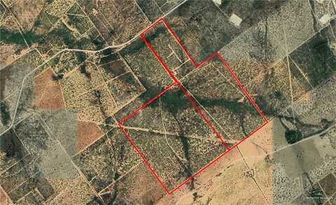 Tbd Los Lobos Road, Falcon Heights, TX 78564