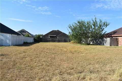 1236 International Street, Edinburg, TX 78539
