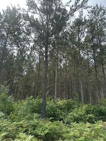 On LEE RD, Tomahawk, WI 54487